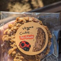 Oatmeal cookie at Dotori 도토리 in Seoul