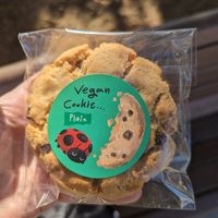 Chocolate chip cookie at Dotori 도토리 in Seoul