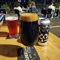 Vegan imperial stout and fruity sour beer at Bagels & Beers in Girona