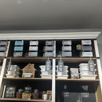 Look for the little green v’s and tell them you are vegano   at Gelateria La Romana in Valencia