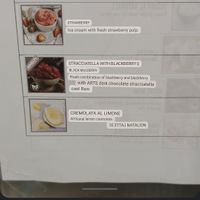 Blackberry and mulberry or blueberry (not sure on the translation) stracciatella vegan ice cream at Gelateria La Romana in Valencia