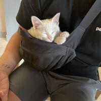   at Thong Dong Vegan Kitchen & Cafe in Lao Cai