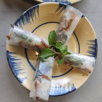 Fresh Spring Rolls at Thong Dong Vegan Kitchen & Cafe in Lao Cai