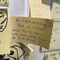   at Thong Dong Vegan Kitchen & Cafe in Lao Cai
