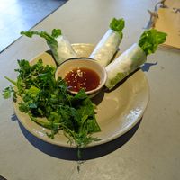 Mushroom spring rolls at Thong Dong Vegan Kitchen & Cafe in Lao Cai