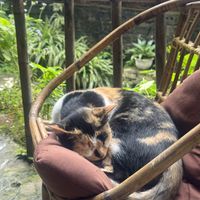   at Thong Dong Vegan Kitchen & Cafe in Lao Cai