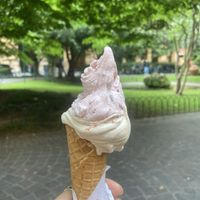Eat it in the park right outside of the shop!   at Cremeria Cavour in Bologna
