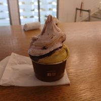  at Cremeria Cavour in Bologna