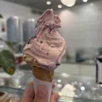 Amarena und Pistazie    at Cremeria Cavour in Bologna