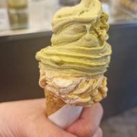 Pistachio and peanut flavours at Cremeria Cavour in Bologna