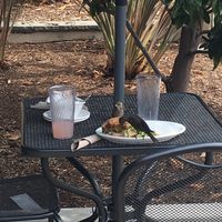 Birds having a feast  at Native Foods in Encinitas