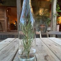 Water with rosemary   at La Guarida in Tulum