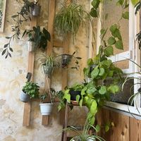   at Laris Love Food in Berlin