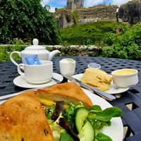Amazing vegan for afternoon tea at National Trust Tearoom in Wareham