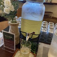 Morninga tea  at Rice Cuisine Suya - 米粉食堂S⊇YA in Yokohama