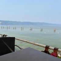 View from outdoor seating area. Server said they’re building a promenade, but for now it’s a place for cormorants and seagulls to hang out.  at Millennium in Tushemisht