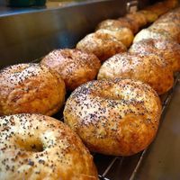  at Breadbox Bakery BNB in Powell River