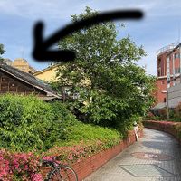 It's here! at WAHA in Tokyo