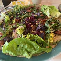   at Villa Zoethout in Alkmaar