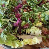   at Villa Zoethout in Alkmaar