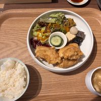   at MERCY Vegan Factory in Osaka