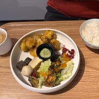   at MERCY Vegan Factory in Osaka