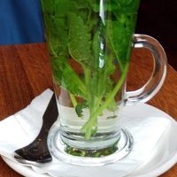  at David Bann Restaurant in Edinburgh