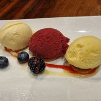 Homemade icecream and sorbets at David Bann Restaurant in Edinburgh