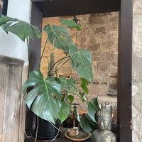   at East Village Cafe in Monterey