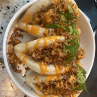 Boas  at Bodhi in Leuven