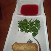  at Mestre Maki in Rio De Janeiro