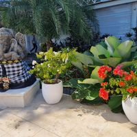 . at Finns Beach Club in Canggu