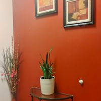  at Xenia A Kebab Grille in Harrisonburg