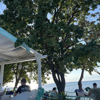   at Dog Dreams Beach and Bar in Novigrad