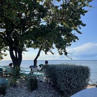   at Dog Dreams Beach and Bar in Novigrad