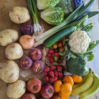  at Bitterne Park Stores in Southampton