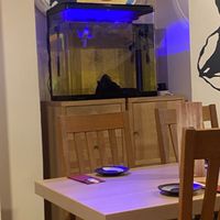 Poor fish  at Goto in Exeter