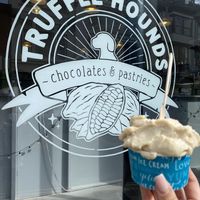 Vanilla ice cream   at Truffle Hounds Chocolate in Exeter