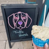 Vanilla ice cream - one scoop   at Truffle Hounds Chocolate in Exeter