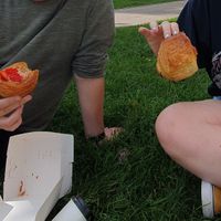 Pain au chocolat and quince and strawberry pastries at Truffle Hounds Chocolate in Exeter
