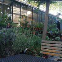 You can sit in the garden with nature all around. at Earth Cafe - Maybe closed in Enschede