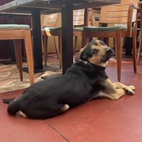 🖤  at Earth Cafe - Maybe closed in Enschede