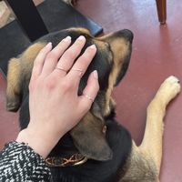 🥰  at Earth Cafe - Maybe closed in Enschede