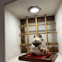   at Nezu no ya in Tokyo