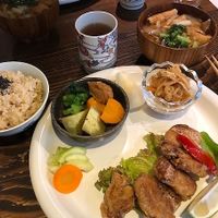 Lunch set with soy meat at Nezu no ya in Tokyo
