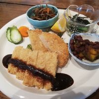 Koya-dofu miso sauce cutlet set menu at Nezu no ya in Tokyo