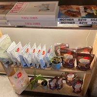 They have some vegan and sometimes gluten free items at Magasand Retiro in Madrid