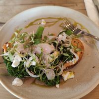 Harissa toast at Honey + Harvey in Woodbridge