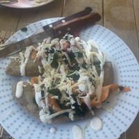 Cactus empanadas  at Burbuja para Conejos in Tulum