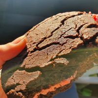  at Charlie's Raw Squeeze in West End